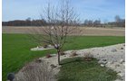 Property photo 54 - REAL ESTATE & PERSONAL PROPERTY AUCTION, 140 Acres offered in 8 Tracts or Combinations in Steuben County